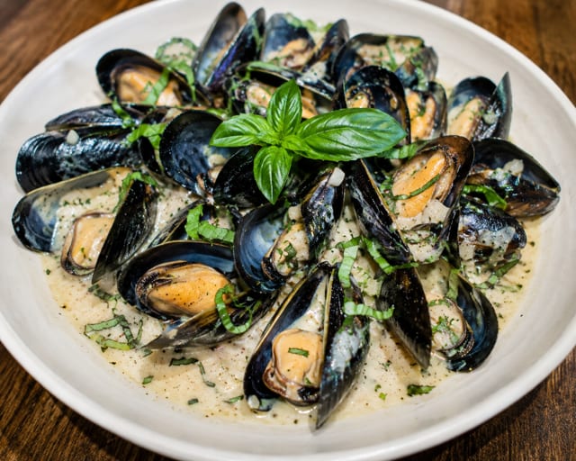 Mussels in White Sauce.